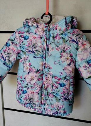 Куртка дитяча zironka