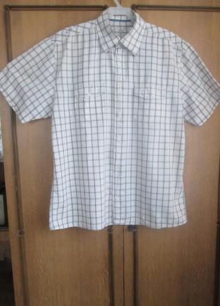 Белая рубашка в клетку tom tailor с коротким рукавом1 фото