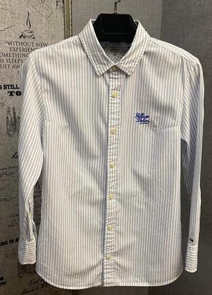 Белая полосатая рубашка от бренда tommy hilfiger denim