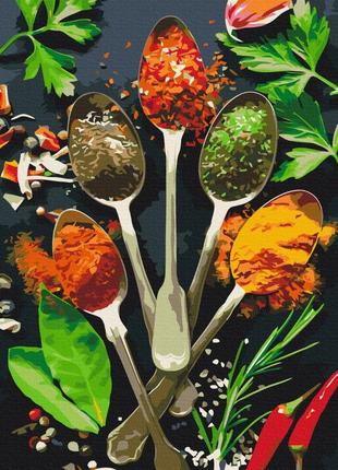 Картина по номерам симфония специй bs53468