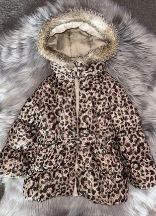 Стильная теплая леопардовая демисезонная курточка на осень для девочки 2р h&amp;m