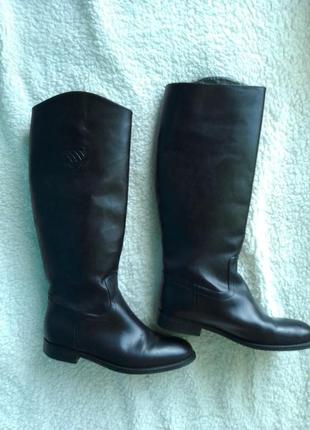 Жокейские сапоги кожа navyboot