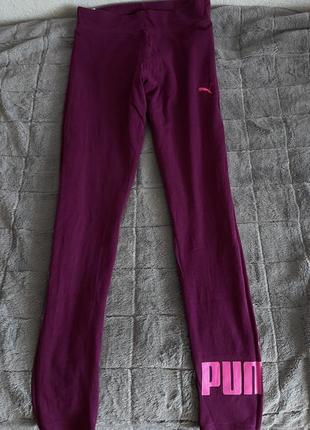 Лосини puma