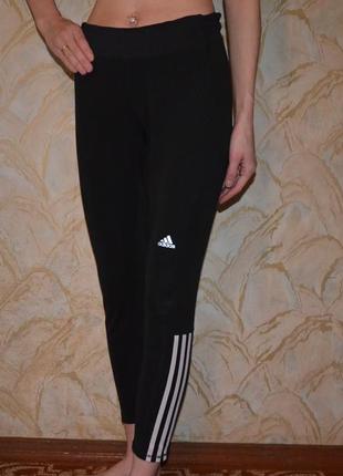 Спортивные лосины adidas1 фото