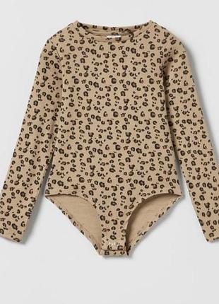 Боди zara
