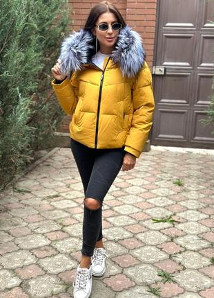 Зимовий пуховик із чорнобуркою колір гірчиця s-xxl