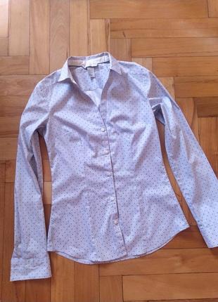 Белая трендовая рубашка в стиле casual в синий горох и полоска h&amp;m7 фото