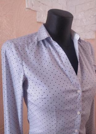 Белая трендовая рубашка в стиле casual в синий горох и полоска h&amp;m6 фото