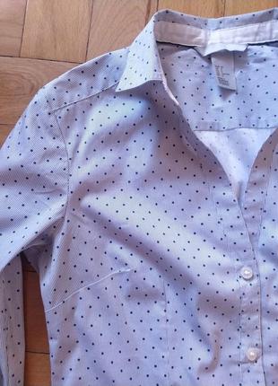 Белая трендовая рубашка в стиле casual в синий горох и полоска h&amp;m9 фото