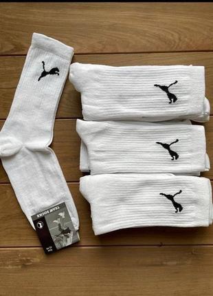 Оригінальні шкарпетки nike/jordan/adidas/chempion7 фото