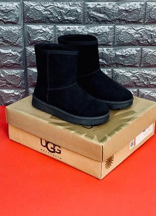 Ugg australia жіночі уггі чорні розміри 35-424 фото