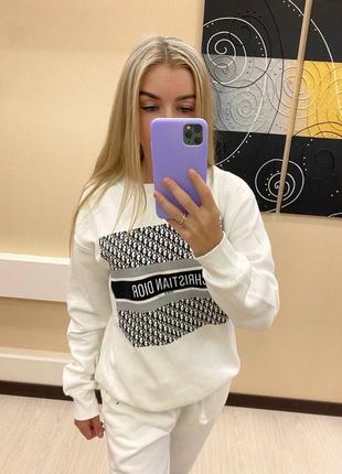 Худи dior