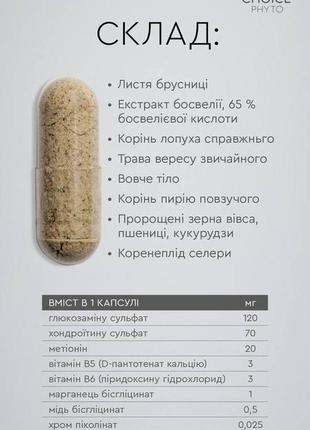 Фитокомплекс для суставов