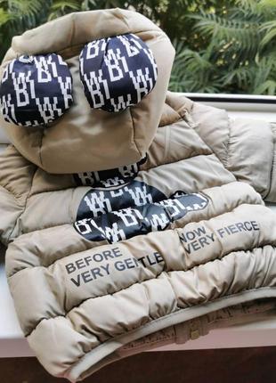 Курточка 90 - 120 см демисезонная осенняя весенняя куртка мишка капюшон ушки