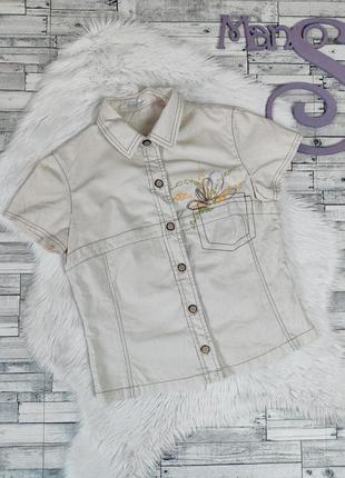 Блуза жіноча hamilton з коротким рукавом бежева розмір 46 м