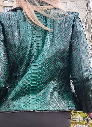 Куртка из питона
