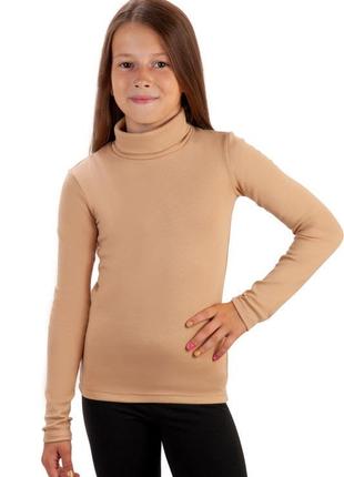 Гольф водолазка теплый начес