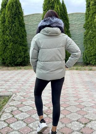 Зимовий пуховик із чорнобуркою колір м'ята s-xxl2 фото