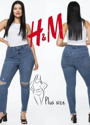 Джинсы plus size от h&m (стрейч, рваные)