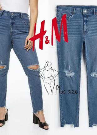 Джинсы plus size от h&amp;m (стрейч, рваные)2 фото