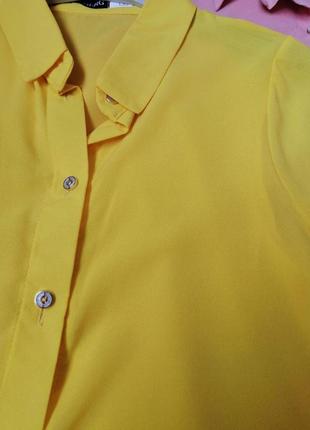 Блузи сорочка подовжена спинка тканина креп-шифон розміри 42 44 46 48 різні кольори класна якість10 фото