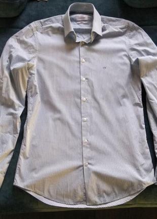Рубашка calvin klein в полоску бело-голубая1 фото