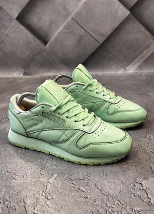 Кросівки reebok