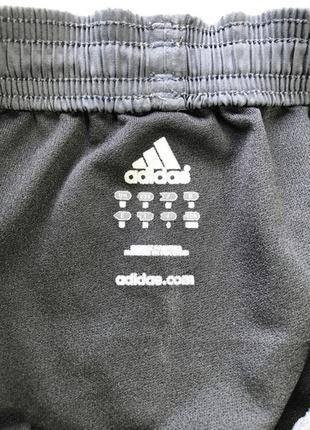 Беговые шорты adidas7 фото