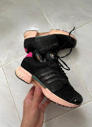 Кросівки adidas climacool