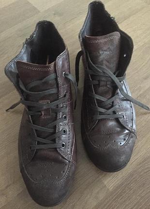 Кожаные сапоги ботинки clarks 4