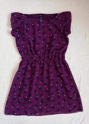 Сукня бордова з принтом коти