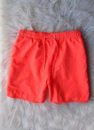 Шорти для плавання плавки cedarwood state