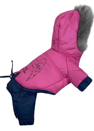 Зимовий комбінезон зі знімними штанами малиновий для собак dogs bomba