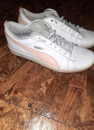 Кеды, кеды puma, кед, жеэнские кеды,женские кеды, белые кеды, белые кеды, кроссовки, кроссовки