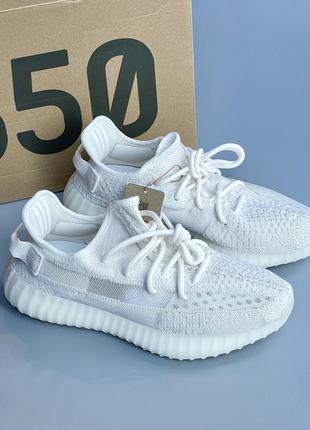 Кроссовки adidas yeezy boost 350 v21 фото