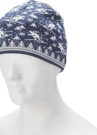 Шапка чоловіча aspen ski print