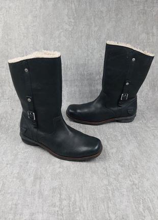 Черевики ugg1 фото