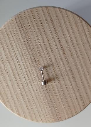 Сережка из нержавеющей стали