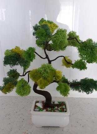 Декоративное дерево бонсай с стабилизированным мхом 30см3 фото