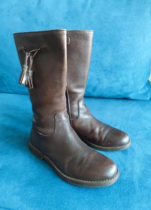 Классические сапоги сапожки осенние kickers