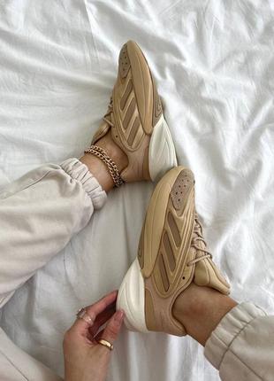 Кросівки adidas tile