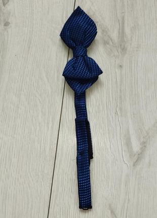 Синяя бабочка Diamond point 2