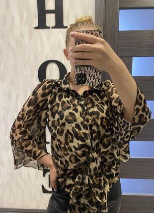 Стильная блуза от moda international