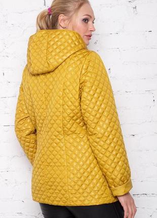 Куртка женская  стеганная  50-605 фото