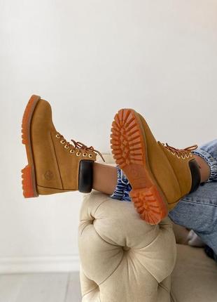 Черевики timberland 6 inch premium yellow