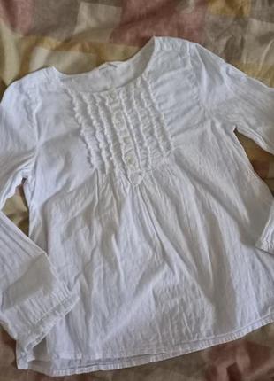 Фірмовий реглан