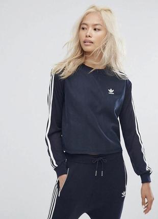 Коттоновый лонгслив свитшот кофта adidas 3-stripes