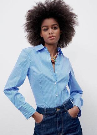 Боді / рубашка в полоску zara