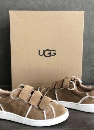 Сникерсы ugg