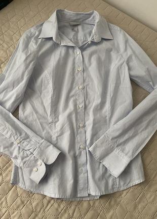 Сорочка блуза блузка у мілку смужку полоску